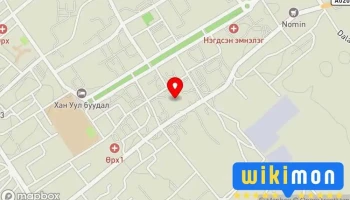 11-р цэцэрлэг - Даланзадгад