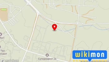 30-р цэцэрлэг - Дархан
