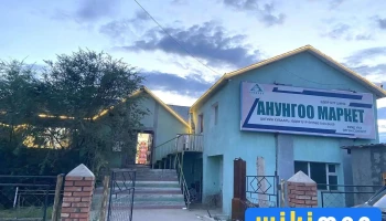 Anungoo market huwsgul - Мөрөн
