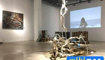 B contemporary art gallery - Сбд - 7 Хороо
