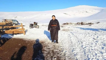 Buyanjargal Winter House Botgon Khond - Бүрд