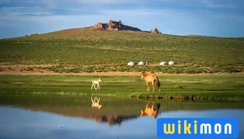 Discover Mongolia Travel - Монгол