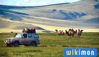 Drive Mongolia. Ulgii branch - Өлгий