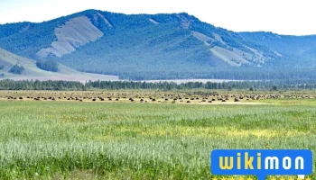 Eguur.mn - Улаанбаатар