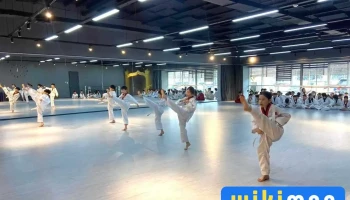 Four Seasons Wellness Center - Худ - 18 Хороо