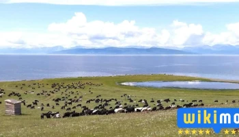 Khubsugul Nord - Турт