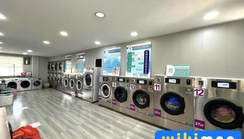 Lily Laundry - Дархан