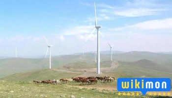 Salkhit Wind Farm - Honhor