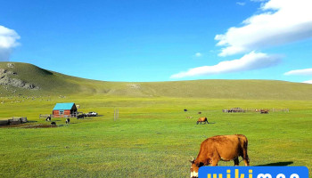 True Mongolia travel - Улаанбаатар 13343