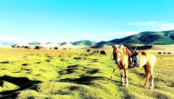Ttr Mongolia - Apartmanet 145