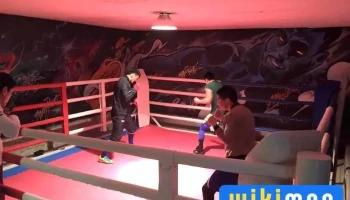 Ub pro boxing club - 23-р