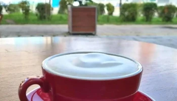 Ulaanbaatar coffee culture - Улаанбаатар 15170