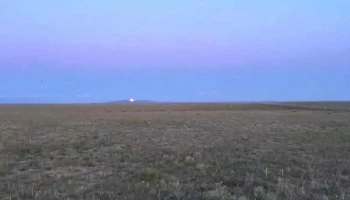 Zam - Чойр