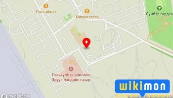 Байгаль орчин, аялал жуулчлалын газар - Чойр