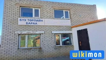 Бүх төрлийн бараа - Мандалговь