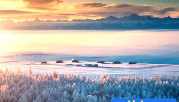 Гацуурын булан - Төгөл