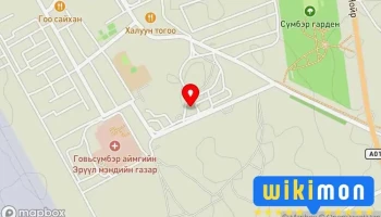 Говьсүмбэр аймгийн нийгмийн даатгалын хэлтэс - Чойр