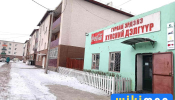 Гурван-Эрдэнэ Супермаркет - Увс 85160