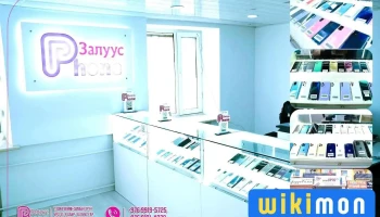 Залуус Гар Утас - Улаанбаатар