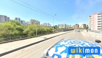 Зогсоол - Dund Goliin Hoid Ereg