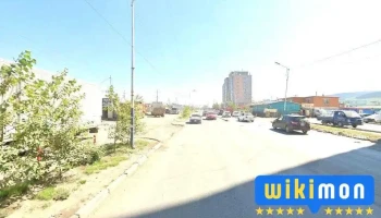 Манай цонхоор морь харагддаг.