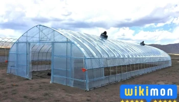 Мөнх ногоон тал Ххк - Өргөө 68 Байр