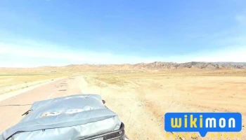 Нарийн тээл - Нарийнтээл