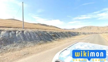 Ногоонтолгой - Улаанбаатар 18217