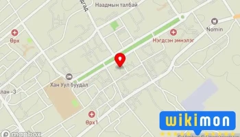 Соёмбо бичиг хэргийн дэлгүүр - Даланзадгад