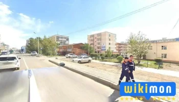 таны үсчин - Улаанбаатар