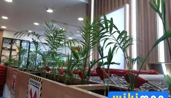 Тод Өнгө Бичиг Хэргийн Дэлгүүр - Улаанбаатар
