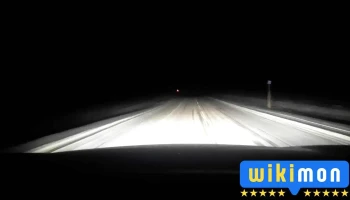 Тээлийн гуанз - Нарийнтээл