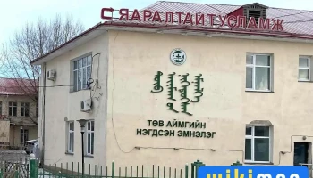 Төв аймгийн Нэгдсэн эмнэлэг - Зуунмод
