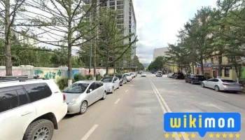 улсын нэгдүгээр төв эмнэлэг - Улаанбаатар
