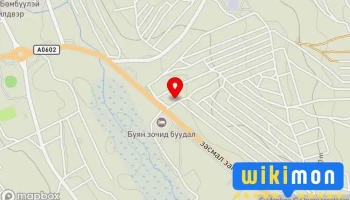 Хангай авто засвар - Цэцэрлэг
