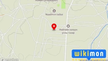Цэнгэл ахын гэр - Зуунмод