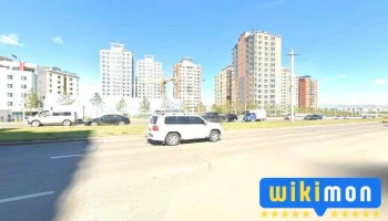 Яармаг зурагчин - Улаанбаатар