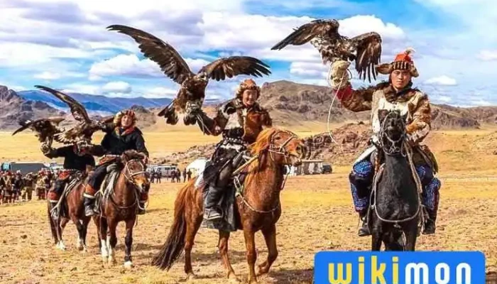 Altai Nomads Travel Llc - 12-10-40