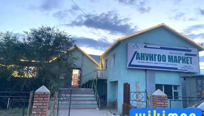 Anungoo market huwsgul - Мөрөн