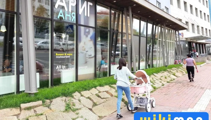 Arig Ania Ezemshigchiinkh - Улаанбаатар