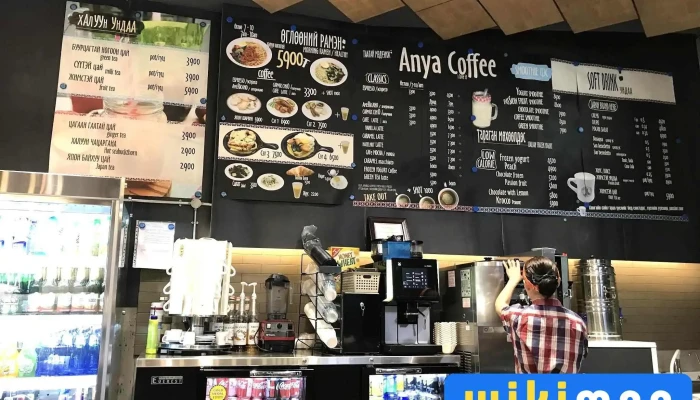 Arig Ania Uur Amsgal - Улаанбаатар