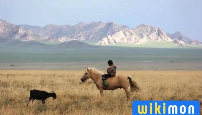 Azur Travel Mongolia tailor-made tours - Agence de voyage sur mesure en Mongolie - #5
