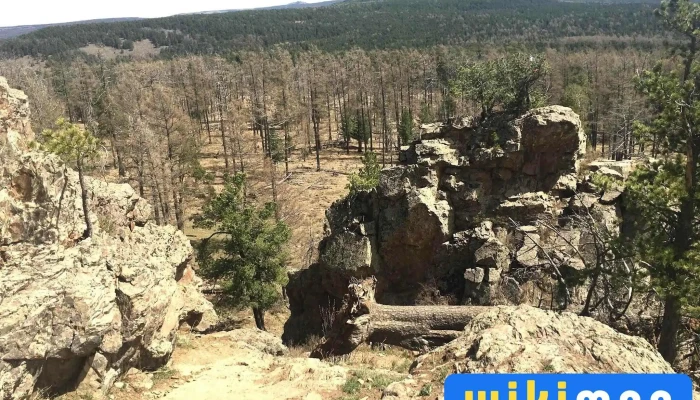 Baruun Shireet Bogdkhan Uul Bugd - Улаанбаатар