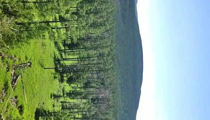 Baruun Shireet Bogdkhan Uul Uul - Улаанбаатар