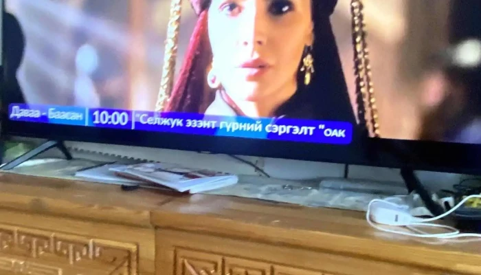 Big Fish Zagaschlakh Kheregsliin Delguur Dotor Tal - Улаанбаатар