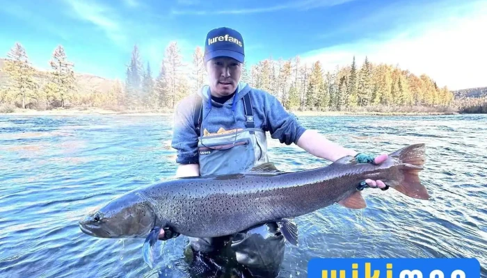 Big Fish загасчлах хэрэгслийн дэлгүүр - Улаанбаатар