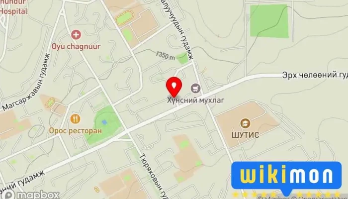 гэсэн газрын зураг Бурхан багшийн сэрэг дүр Төрийн бус байгууллага дээр Эрдэнэт