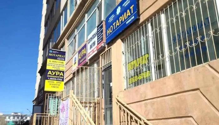Delna Zurag Ugaakh Uilchilgee Bugd - Улаанбаатар