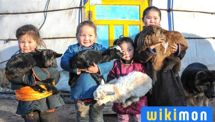 Dream Mongolia Tour -  Bugd - Улаанбаатар