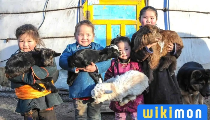 Dream Mongolia Tour - Улаанбаатар